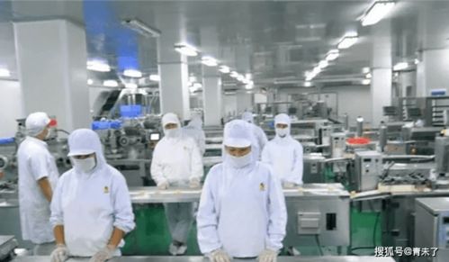 食品廠霉菌控制與互聯(lián)網(wǎng)銷(xiāo)售的安全管理策略